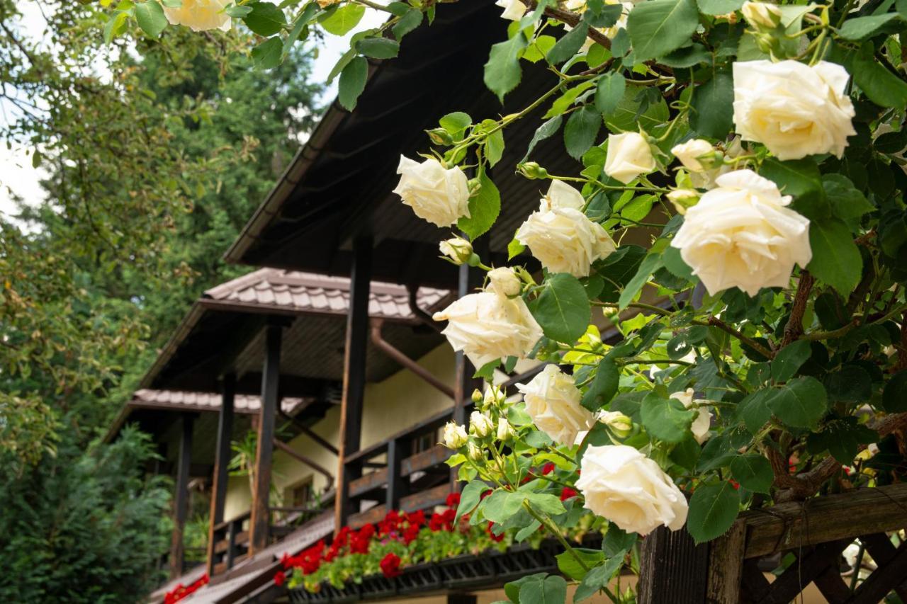 Pension Andra'S House 호레주 외부 사진